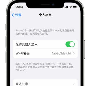 白马井镇apple服务站点分享iPhone上个人热点丢失了怎么办 