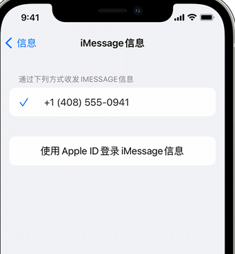 白马井镇apple维修iPhone上无法正常发送iMessage信息 