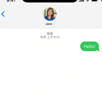 白马井镇apple维修iPhone上无法正常发送iMessage信息