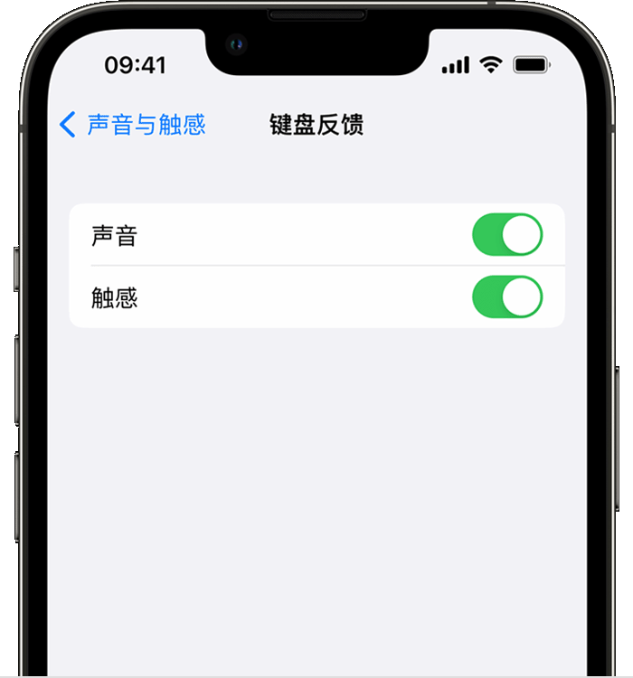 白马井镇苹果14维修店分享如何在 iPhone 14 机型中使用触感键盘 