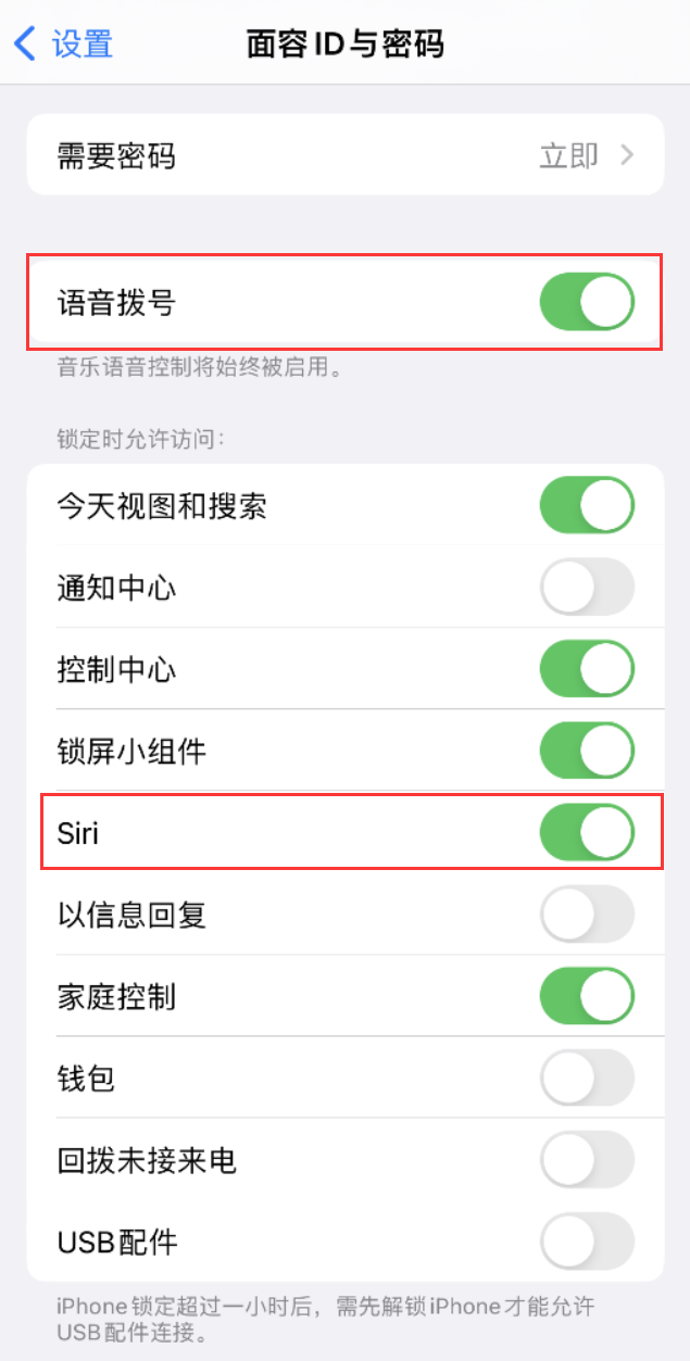 白马井镇苹果维修网点分享不解锁 iPhone 的情况下通过 Siri 拨打电话的方法 