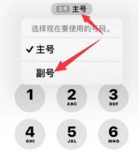 白马井镇苹果14维修店分享iPhone 14 Pro Max使用副卡打电话的方法 