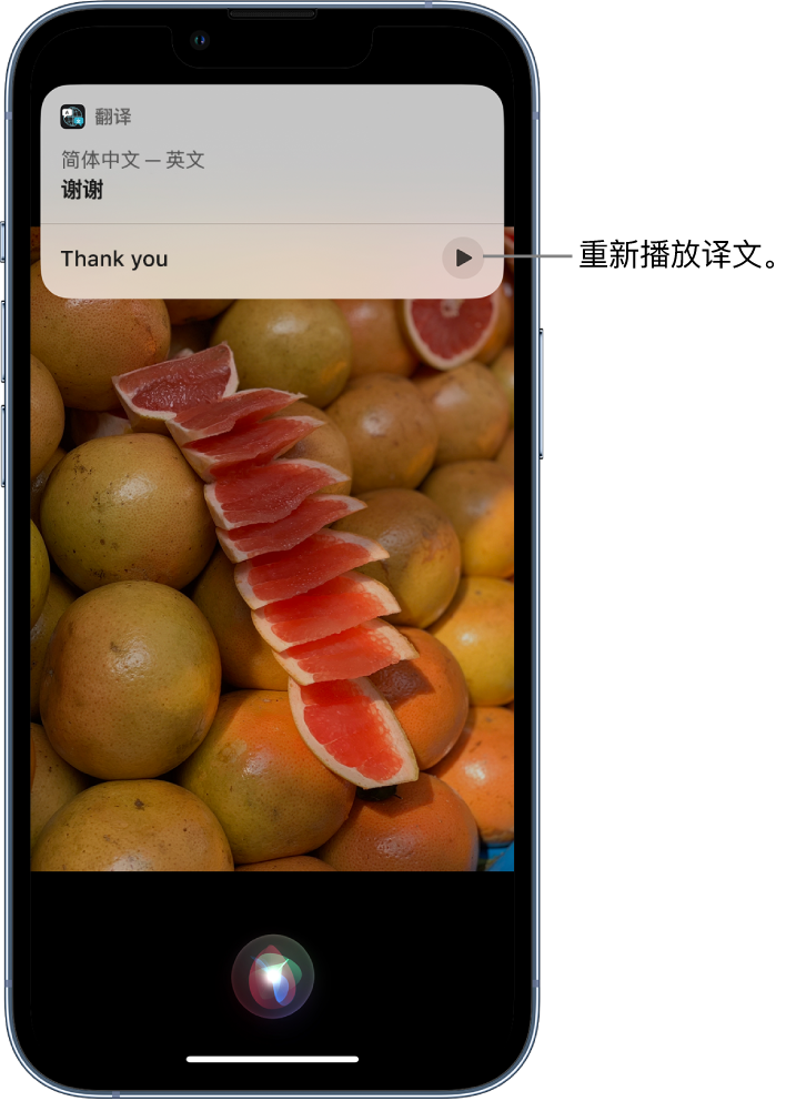 白马井镇苹果14维修分享 iPhone 14 机型中使用 Siri：了解 Siri 能帮你做什么 