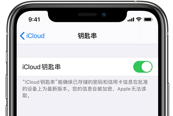 白马井镇苹果手机维修分享在 iPhone 上开启 iCloud 钥匙串之后会储存哪些信息 