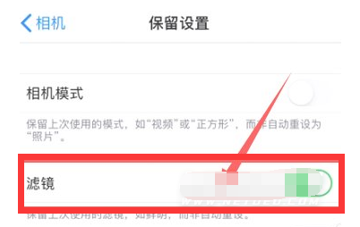 白马井镇苹果13维修分享iPhone13拍照有绿点是怎么回事 