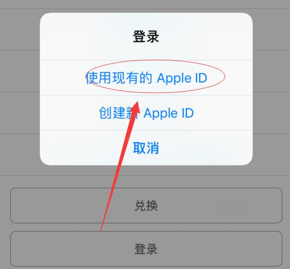 白马井镇苹果手机维修分享两台iPhone设备可以同时登录一个Apple ID吗 
