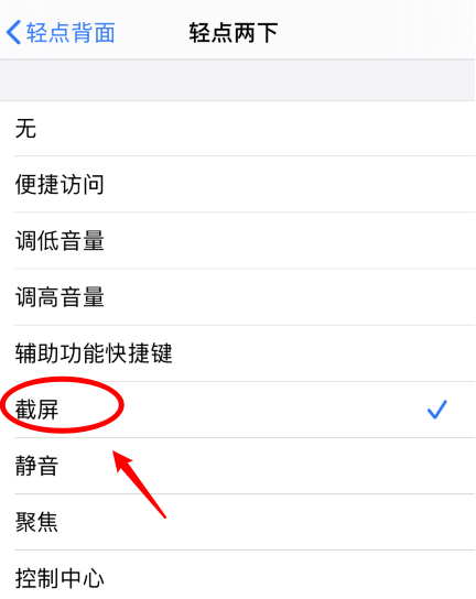 白马井镇苹果手机维修分享iPhone12如何启用双击截屏 