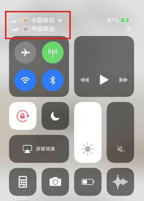 白马井镇苹果手机维修分享为 iPhone 12 双卡设置标签 