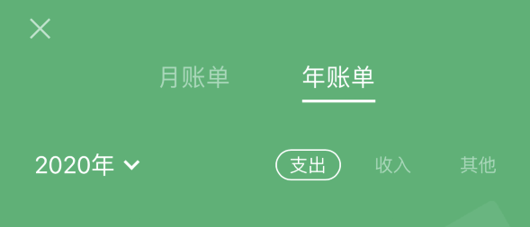白马井镇苹果手机维修分享如何在 iPhone 上查看支付宝和微信年支出账单 